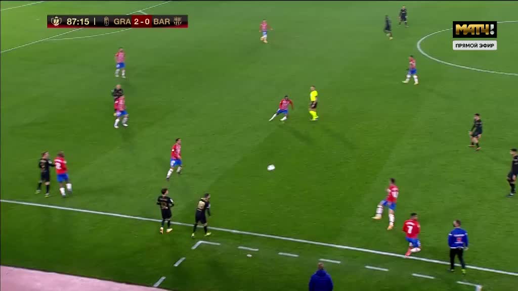 澳洲队防守体系成亮点